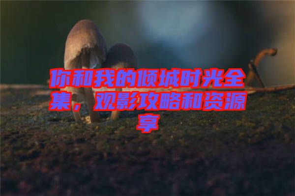 你和我的傾城時(shí)光全集，觀影攻略和資源享