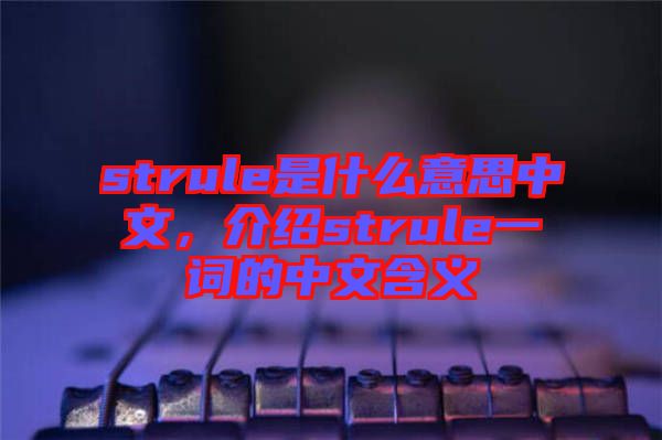 strule是什么意思中文，介紹strule一詞的中文含義