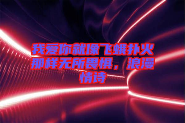 我愛你就像飛蛾撲火那樣無所畏懼，浪漫情詩