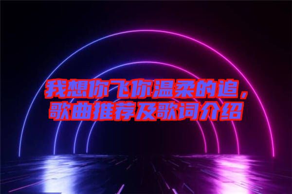 我想你飛你溫柔的追，歌曲推薦及歌詞介紹