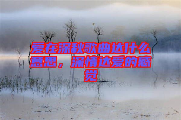 愛在深秋歌曲達什么意思，深情達愛的感覺