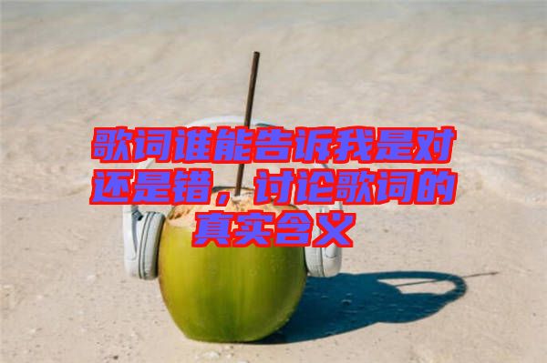 歌詞誰能告訴我是對還是錯，討論歌詞的真實含義