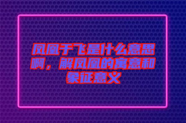 鳳凰于飛是什么意思啊，解鳳凰的寓意和象征意義