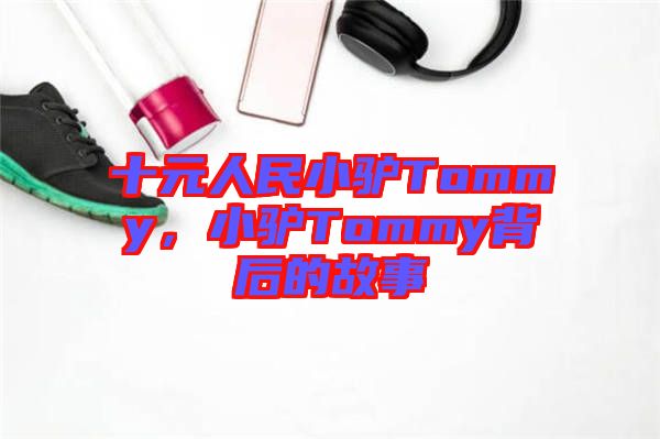 十元人民小驢Tommy，小驢Tommy背后的故事