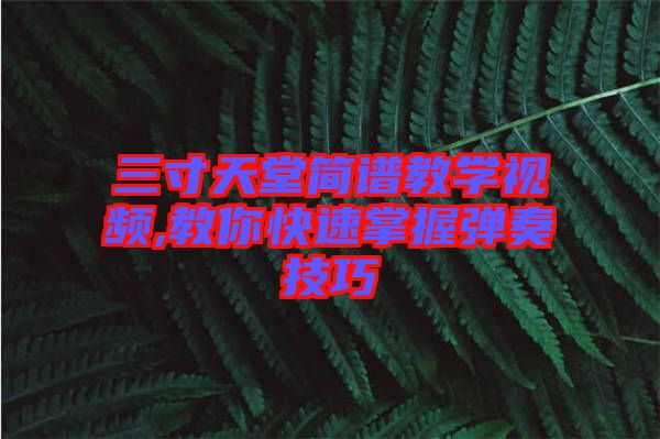 三寸天堂簡譜教學視頻,教你快速掌握彈奏技巧