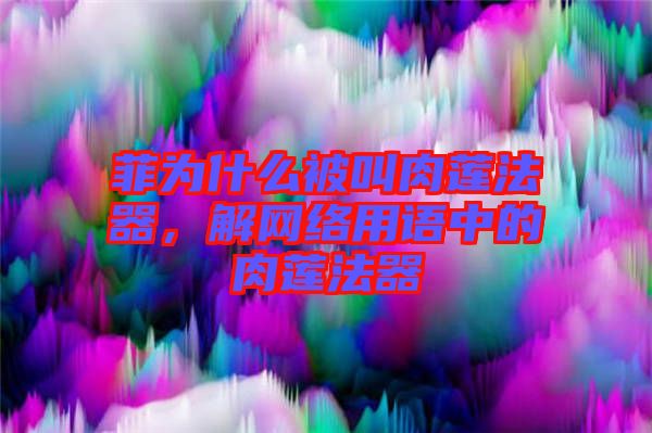 菲為什么被叫肉蓮法器，解網絡用語中的肉蓮法器