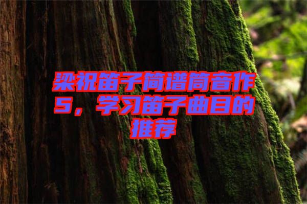 梁祝笛子簡譜筒音作5，學習笛子曲目的推薦