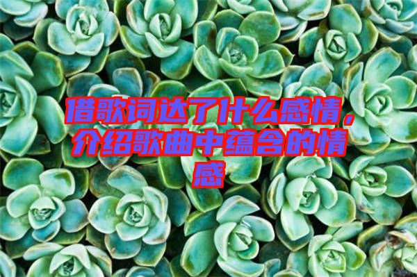 借歌詞達了什么感情，介紹歌曲中蘊含的情感