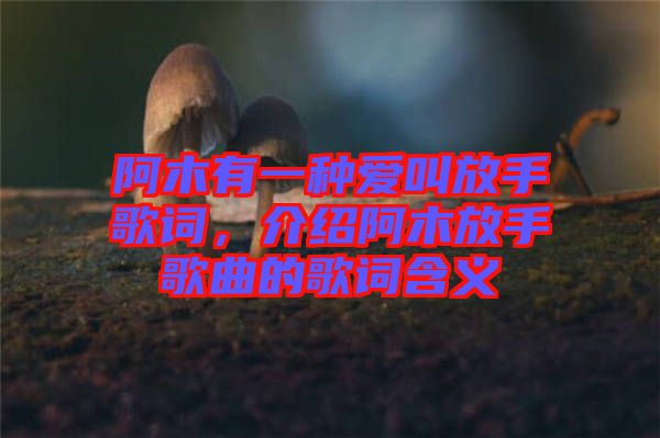 阿木有一種愛叫放手歌詞，介紹阿木放手歌曲的歌詞含義