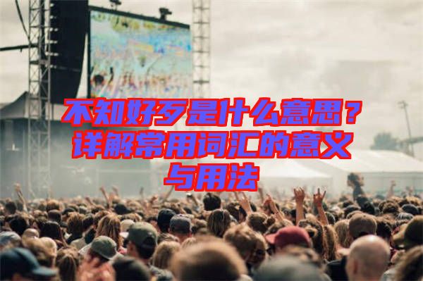 不知好歹是什么意思？詳解常用詞匯的意義與用法