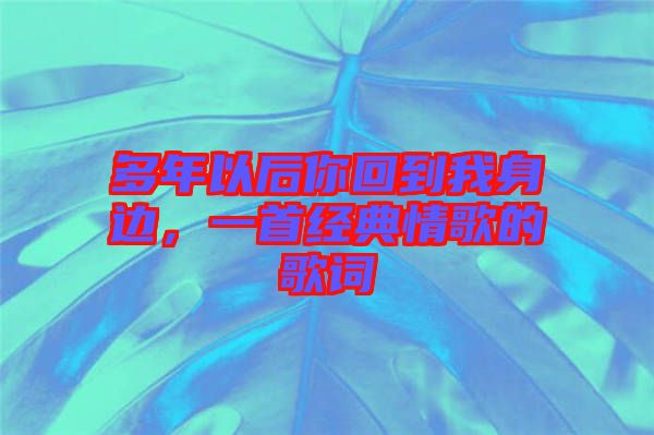 多年以后你回到我身邊，一首經典情歌的歌詞