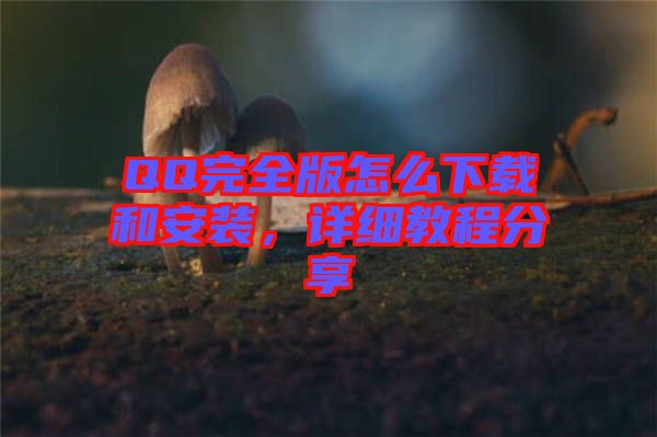 QQ完全版怎么下載和安裝，詳細(xì)教程分享