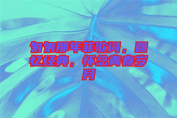 匆匆那年菲歌詞，回憶經(jīng)典，懷念青春歲月