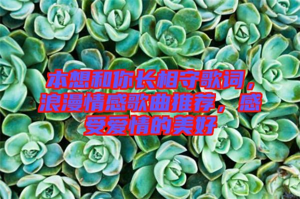 本想和你長相守歌詞，浪漫情感歌曲推薦，感受愛情的美好