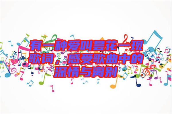 有一種愛叫曇花一現(xiàn)歌詞，感受歌曲中的深情與離別