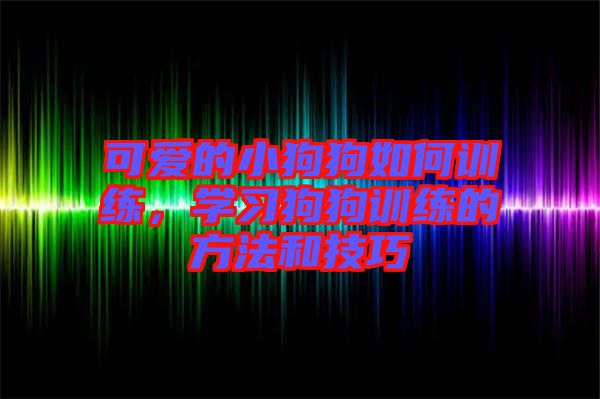 可愛的小狗狗如何訓練，學習狗狗訓練的方法和技巧