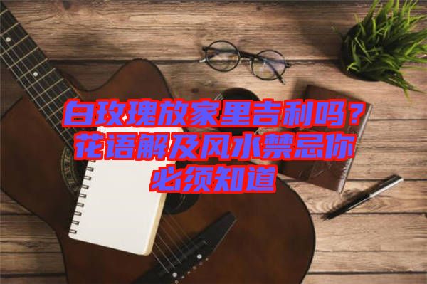 白玫瑰放家里吉利嗎？花語解及風水禁忌你必須知道