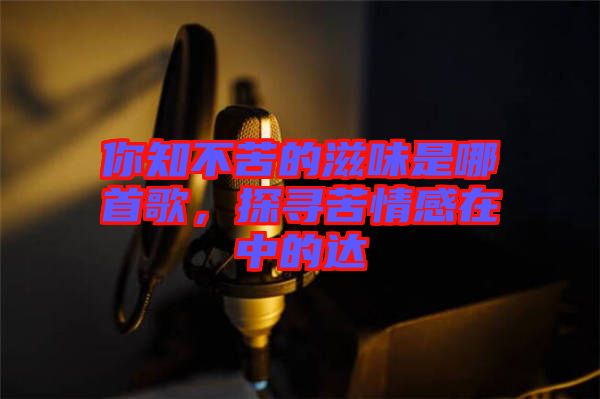 你知不苦的滋味是哪首歌，探尋苦情感在中的達