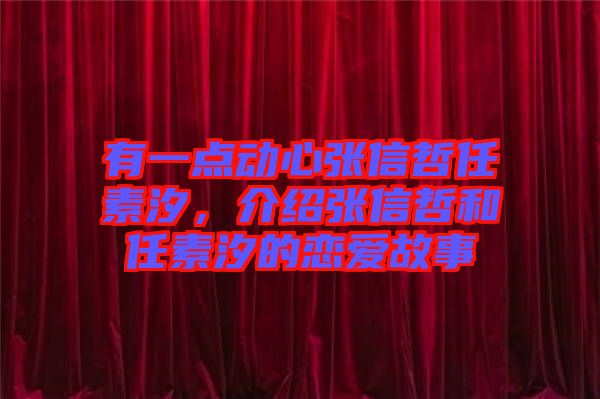 有一點(diǎn)動心張信哲任素汐，介紹張信哲和任素汐的戀愛故事