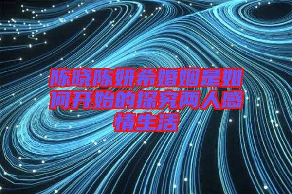 陳曉陳妍?；橐鍪侨绾伍_(kāi)始的探究?jī)扇烁星樯? width=