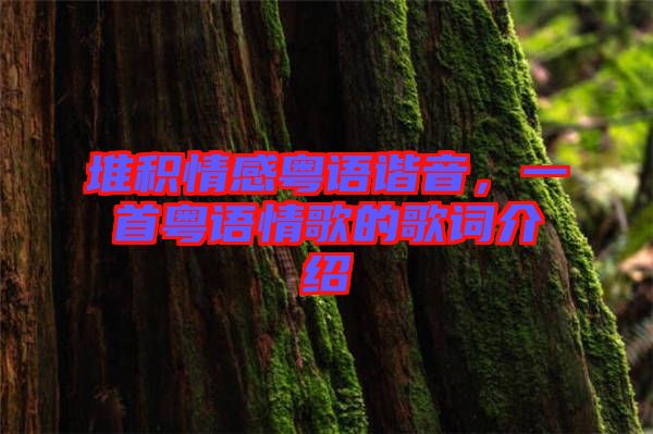 堆積情感粵語諧音，一首粵語情歌的歌詞介紹