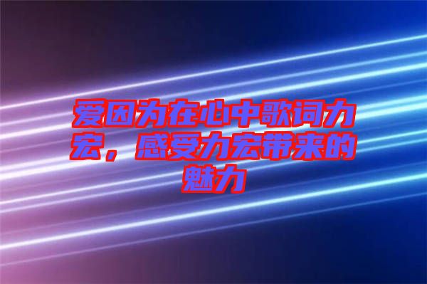 愛因?yàn)樵谛闹懈柙~力宏，感受力宏帶來的魅力