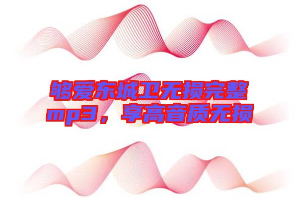 夠愛東城衛無損完整mp3，享高音質無損