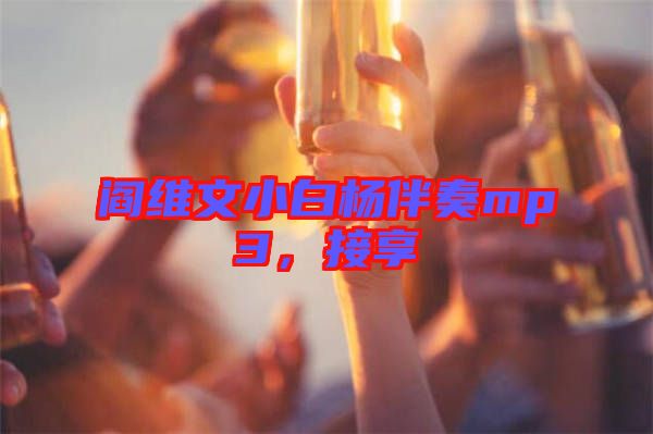 閻維文小白楊伴奏mp3，接享