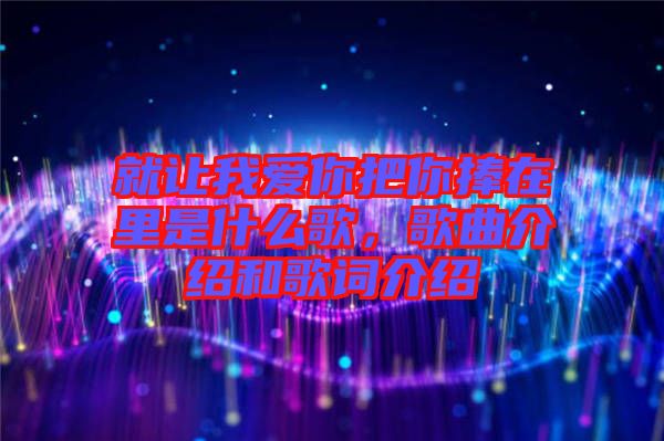 就讓我愛(ài)你把你捧在里是什么歌，歌曲介紹和歌詞介紹