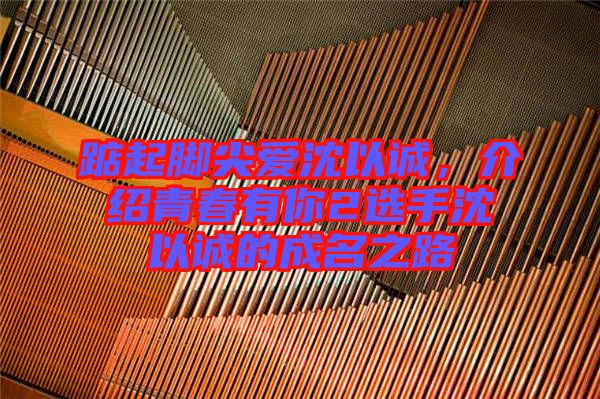 踮起腳尖愛沈以誠，介紹青春有你2選手沈以誠的成名之路