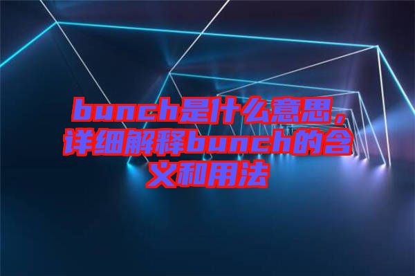 bunch是什么意思，詳細解釋bunch的含義和用法