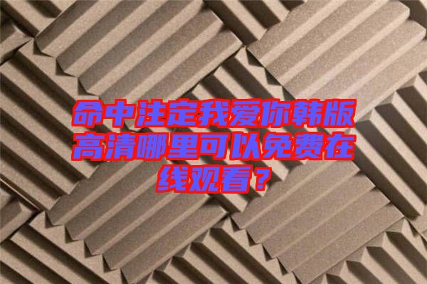 命中注定我愛你韓版高清哪里可以免費(fèi)在線觀看？