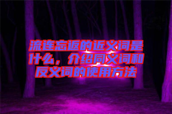 流連忘返的近義詞是什么，介紹同義詞和反義詞的使用方法