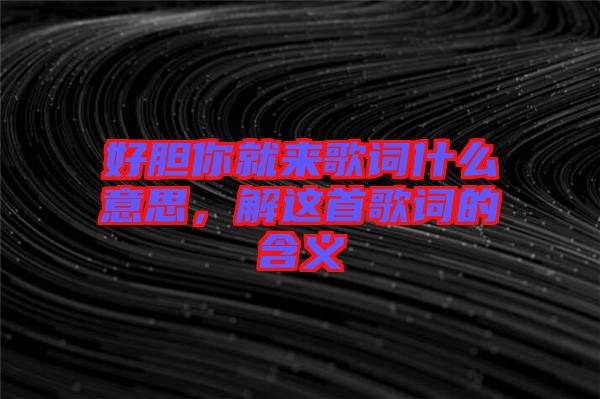 好膽你就來歌詞什么意思，解這首歌詞的含義