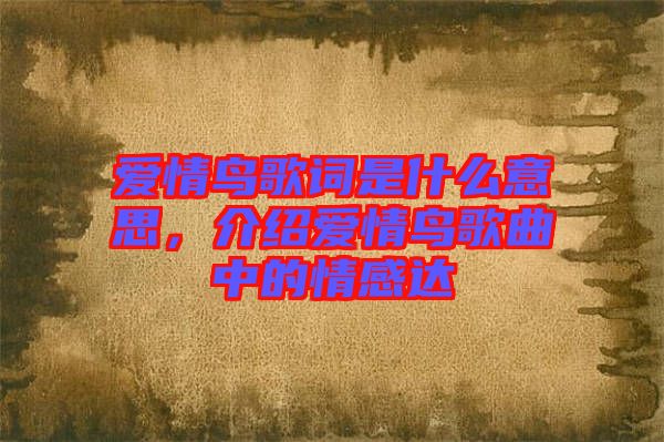 愛情鳥歌詞是什么意思，介紹愛情鳥歌曲中的情感達