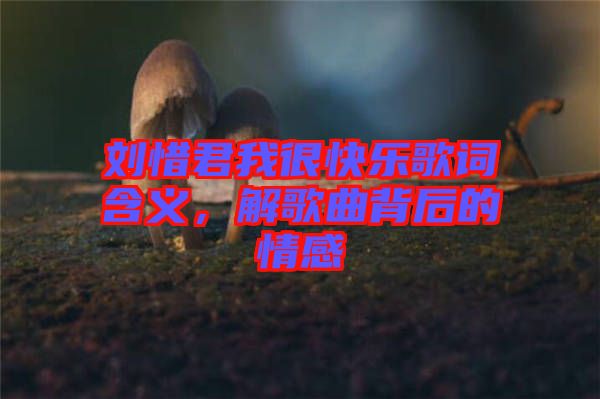 劉惜君我很快樂歌詞含義，解歌曲背后的情感