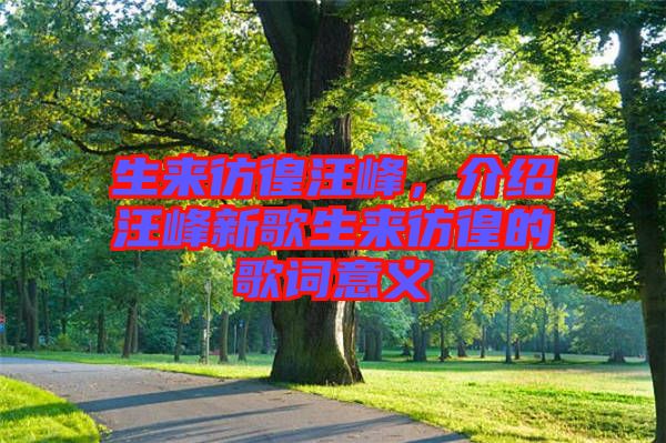 生來彷徨汪峰，介紹汪峰新歌生來彷徨的歌詞意義