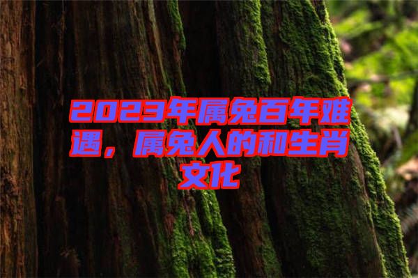 2023年屬兔百年難遇，屬兔人的和生肖文化