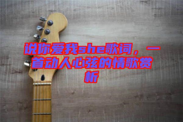 說你愛我she歌詞，一首動(dòng)人心弦的情歌賞析