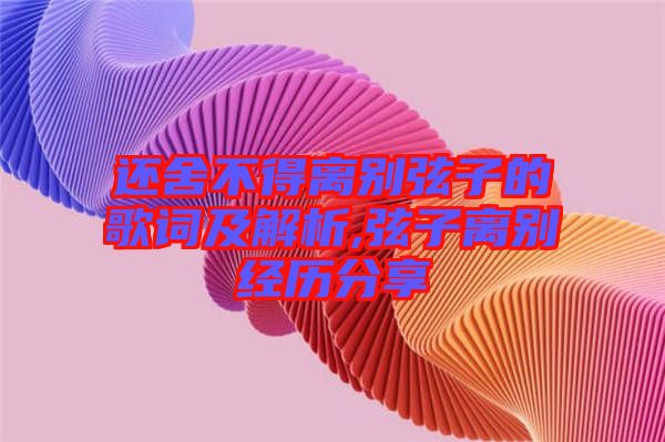 還舍不得離別弦子的歌詞及解析,弦子離別經歷分享